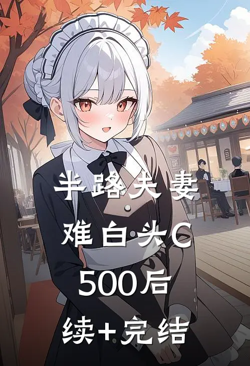 半路夫妻难白头C500后续+完结