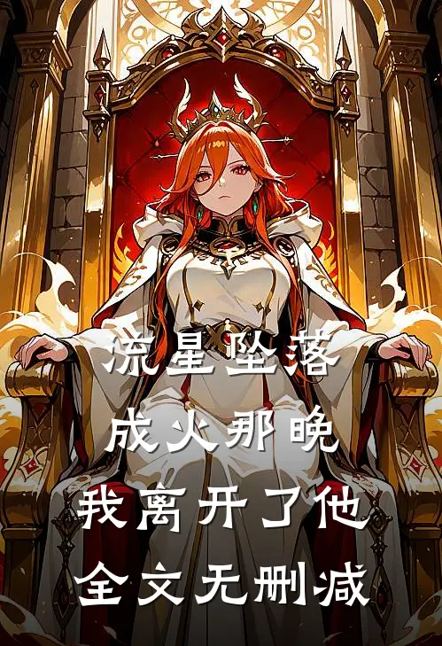 流星坠落成火那晚，我离开了他全文无删减