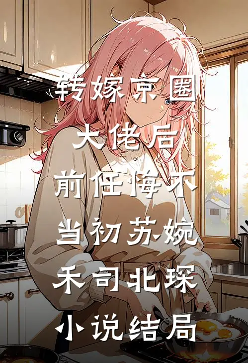 转嫁京圈大佬后，前任悔不当初苏婉禾司北琛小说结局
