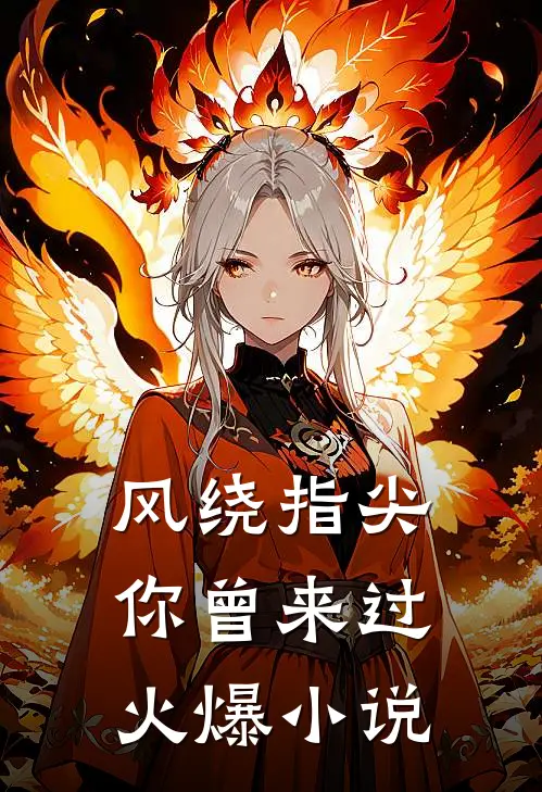 风绕指尖，你曾来过火爆小说