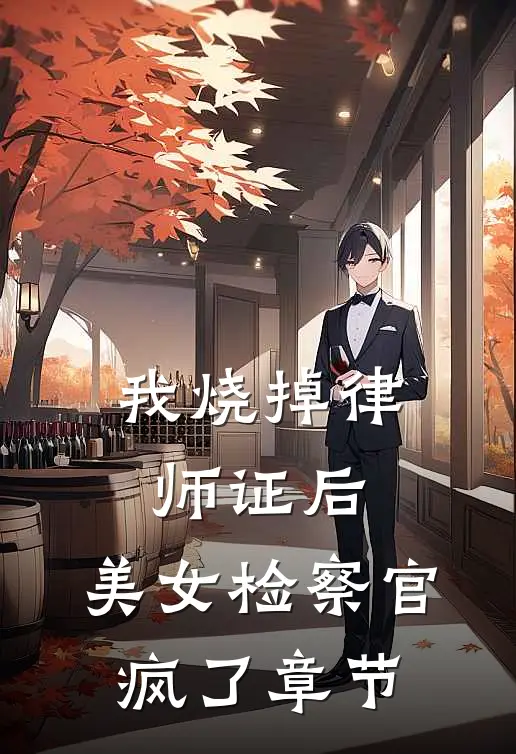 我烧掉律师证后，美女检察官疯了章节