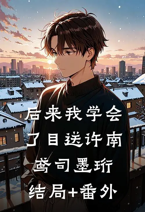 后来我学会了目送许南鸢司墨珩:结局+番外
