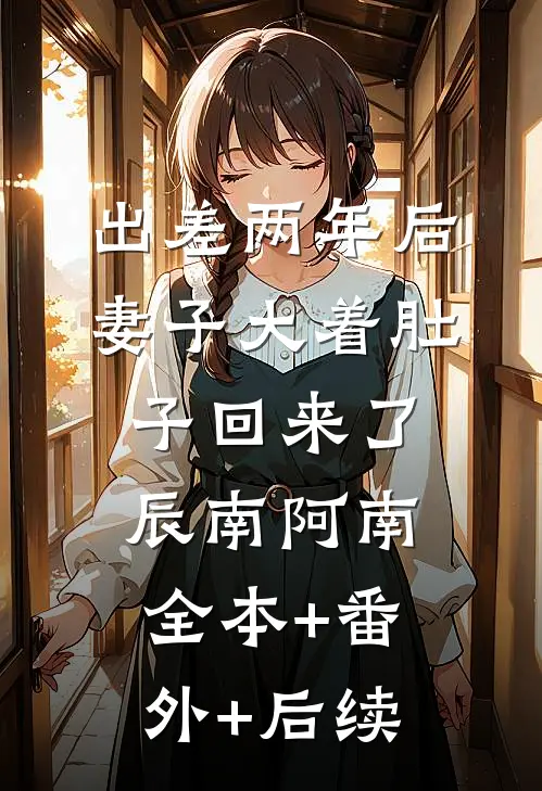 出差两年后，妻子大着肚子回来了辰南阿南全本+番外+后续
