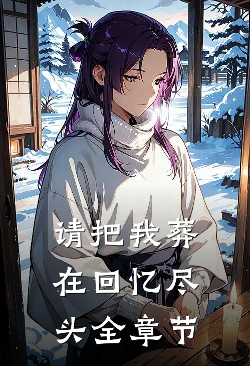 请把我葬在回忆尽头全章节