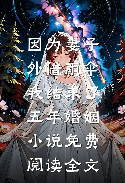 因为妻子外借雨伞，我结束了五年婚姻小说免费阅读全文