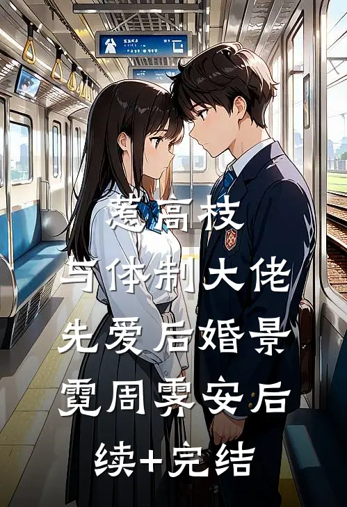 惹高枝：与体制大佬先爱后婚景霓周霁安后续+完结