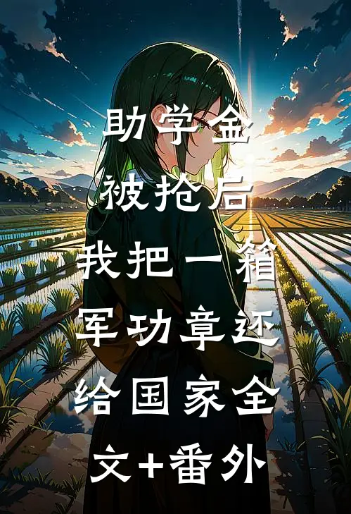 助学金被抢后，我把一箱军功章还给国家全文+番外