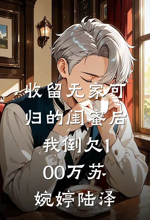 收留无家可归的闺蜜后，我倒欠100万苏婉婷陆泽