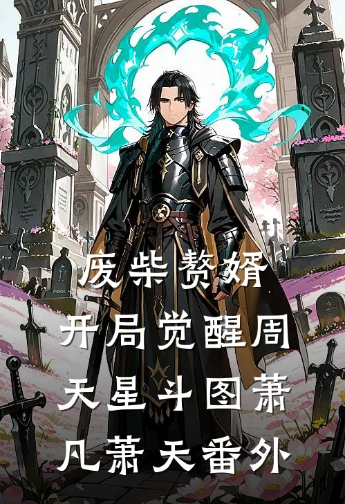 废柴赘婿：开局觉醒周天星斗图萧凡萧天番外