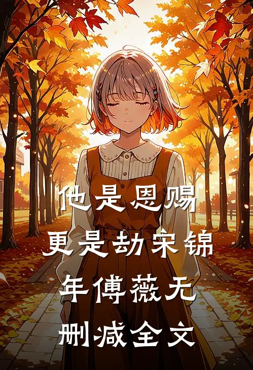 他是恩赐，更是劫宋锦年傅薇无删减全文