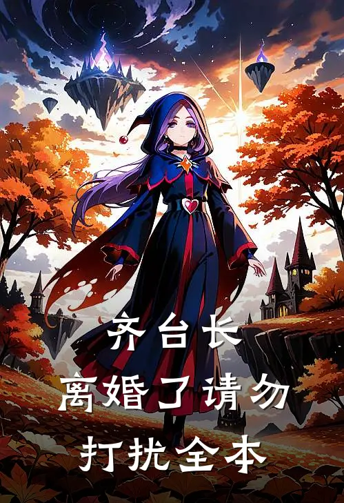齐台长，离婚了请勿打扰全本