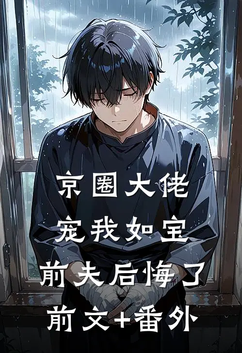 京圈大佬宠我如宝，前夫后悔了前文+番外