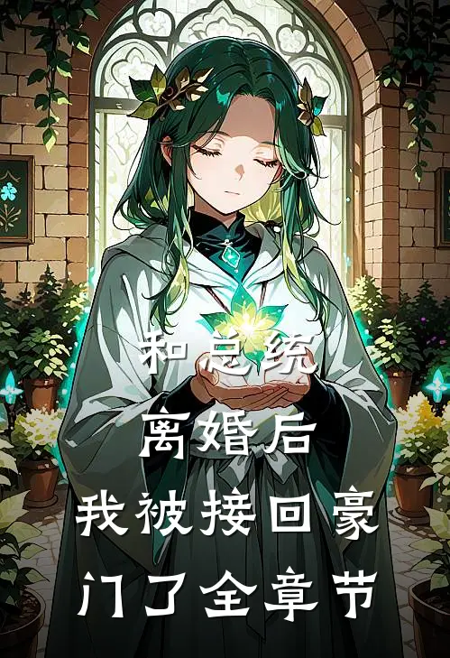 和总统离婚后，我被接回豪门了全章节