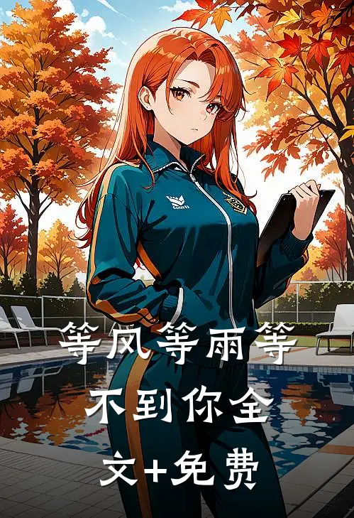 等风等雨等不到你全文+免费