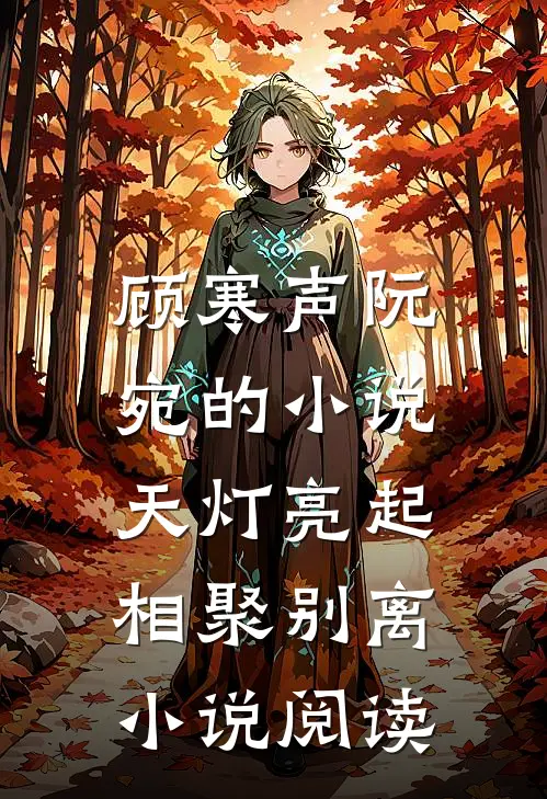 顾寒声阮宛的小说天灯亮起，相聚别离小说阅读