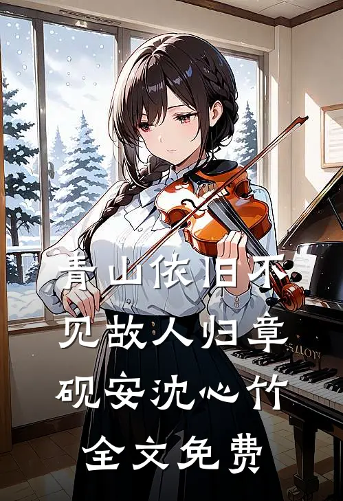 青山依旧不见故人归章砚安沈心竹全文免费
