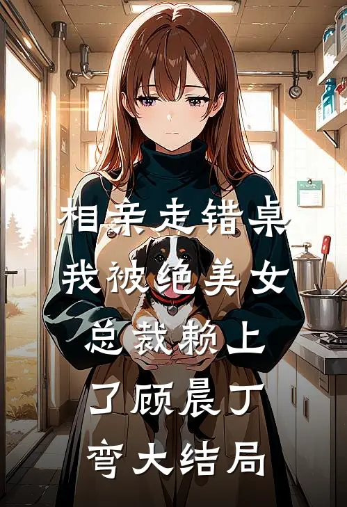 相亲走错桌，我被绝美女总裁赖上了顾晨丁弯大结局