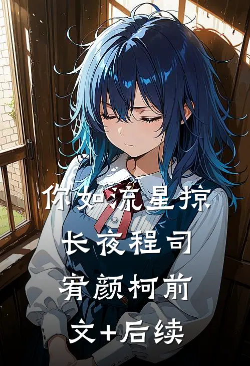 你如流星掠长夜程司宥颜柯前文+后续