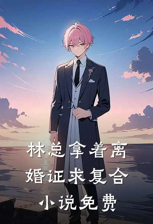 林总拿着离婚证求复合小说免费