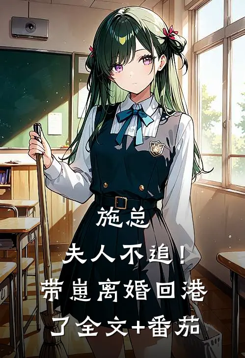 施总，夫人不追！带崽离婚回港了全文+番茄