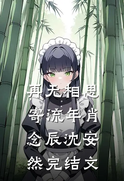 再无相思寄流年肖念辰沈安然完结文