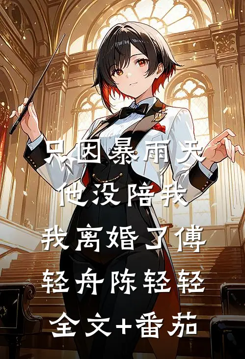 只因暴雨天他没陪我，我离婚了傅轻舟陈轻轻全文+番茄