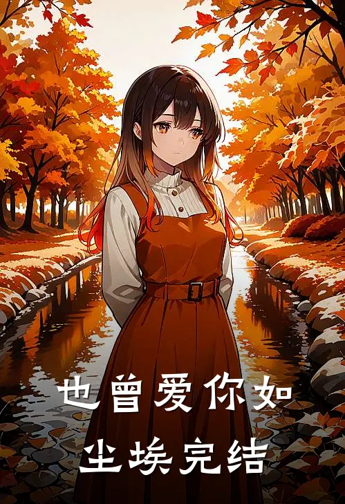 也曾爱你如尘埃完结